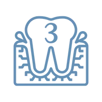 6 1