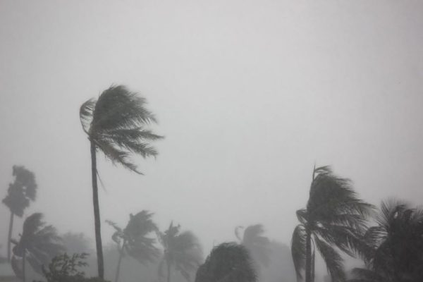 typhoon-05