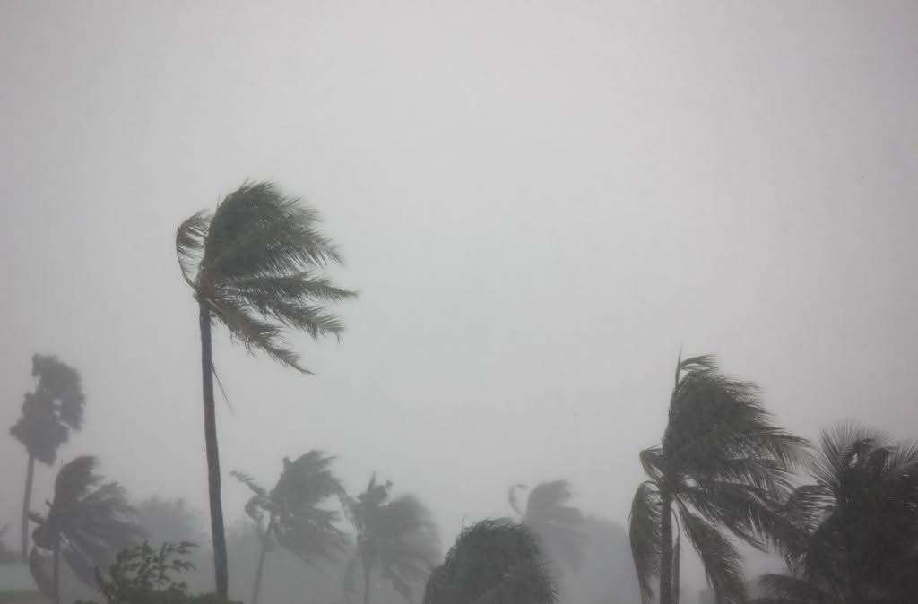 typhoon-05