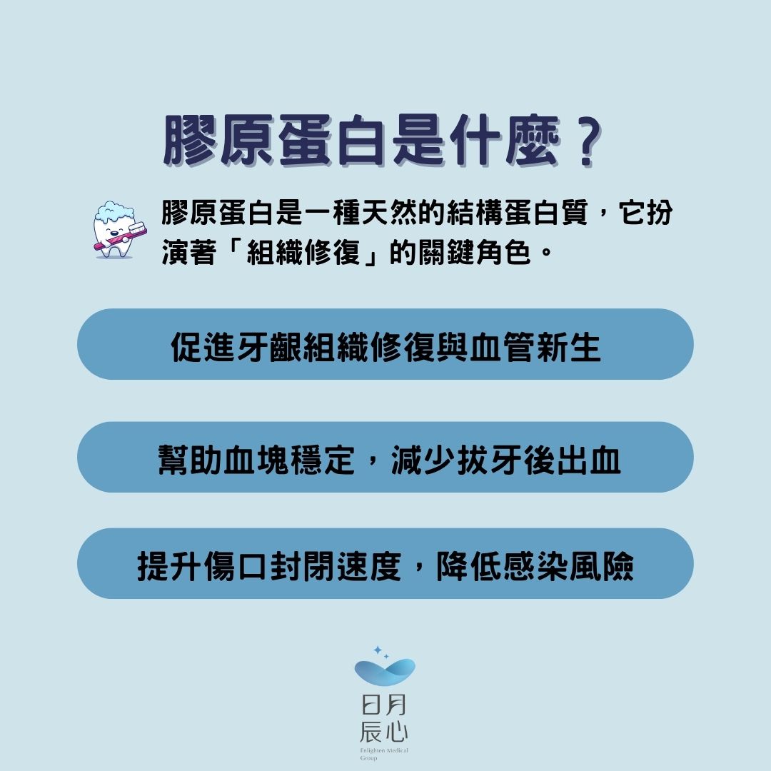 膠原蛋白是甚麼？